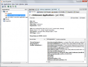 Visual VM Overview