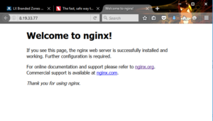 ngnix works!